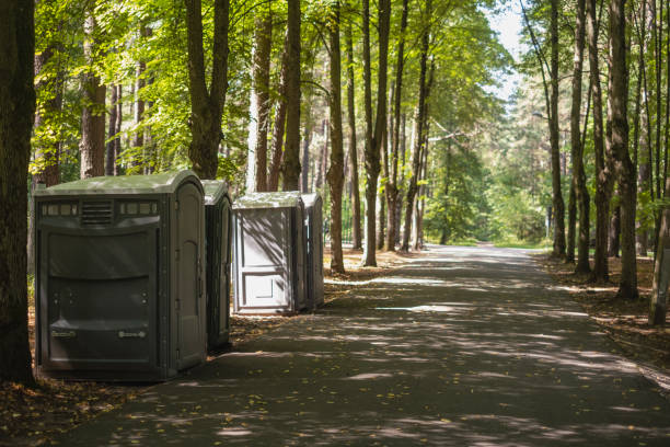 How Our Tree Care Process Works  in  Osakis, MN